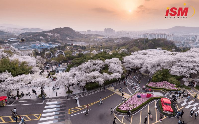 Thành phố Daegu Hàn Quốc
