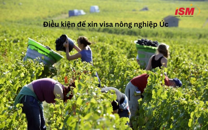 Điều kiện để xin visa nông nghiệp Úc
