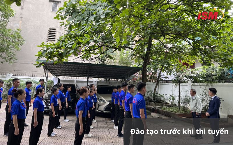  Đào tạo định hướng trước thi tuyển