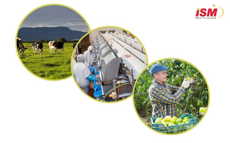 Ngành nông nghiệp tại Úc đang có nhu cầu tuyển dụng nngun lao động lớn