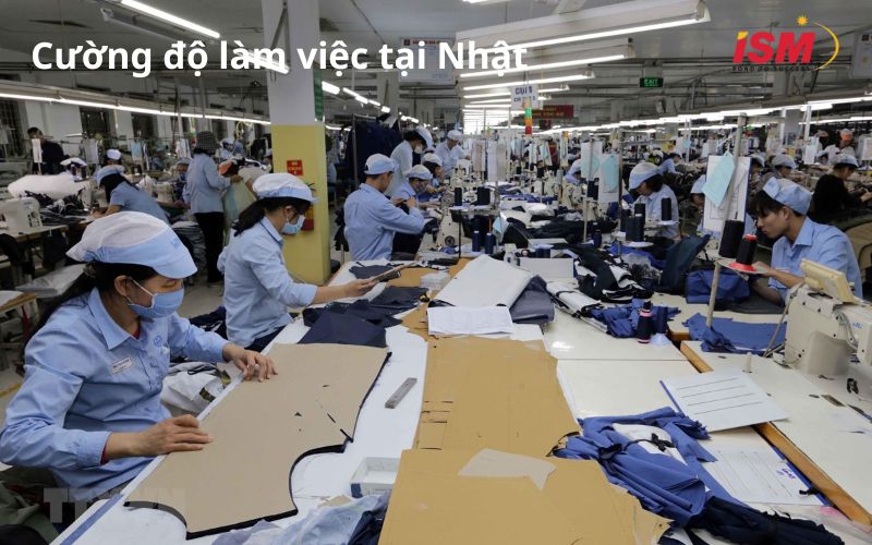 Thời gian làm việc tiêu chuẩn là 8 giờ/ngày và 40 giờ/tuần, từ thứ Hai đến thứ Sáu.